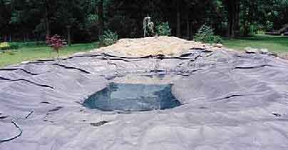 pond liner two photo
