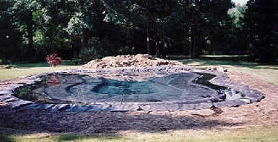 pond liner three photo