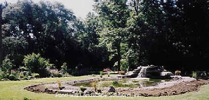 pond liner six photo